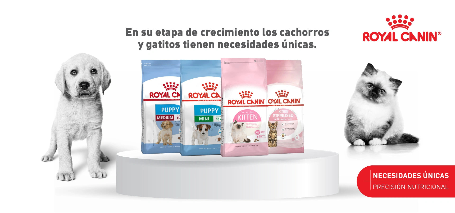 Wuufu mascotas