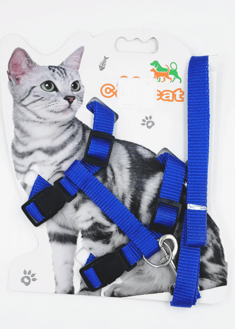 Collar De Mascota 1.5 cm Correa 1.2m Para Gato