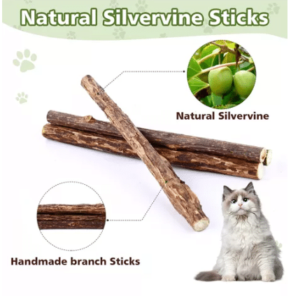 Rama Masticables De Hierba Gatera Para Gatos