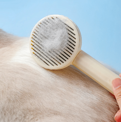 Cepillo retráctil base circular