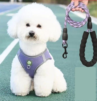 Combo Lazo + Pechera Perro