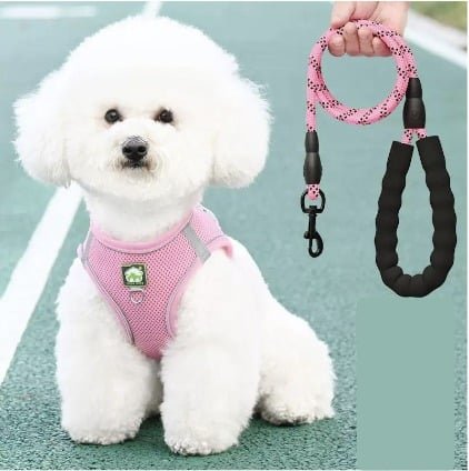 Combo Lazo + Pechera Perro