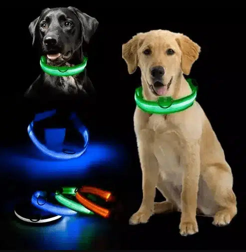Collar Para Perro O Gato Luminoso Led Con Pila