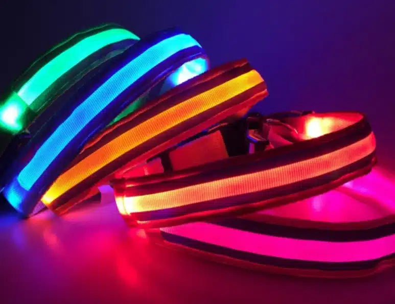 Collar Para Perro O Gato Luminoso Led Con Pila