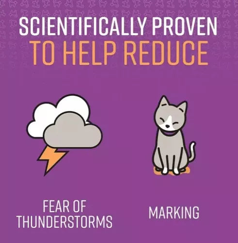 Collar Feromonas Gato Calmante