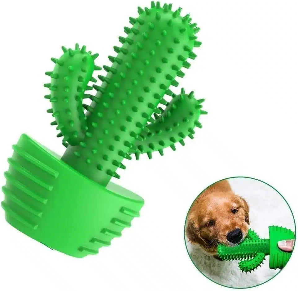 Juguete Mordedor Rasca Encias Anti Estres Cactus Para Perros