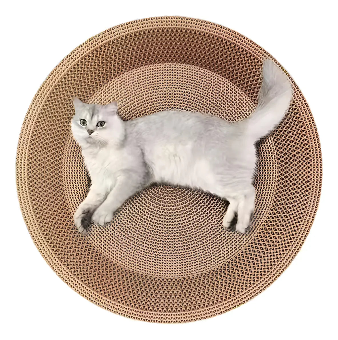 Rascador circular Wuufu 50 Cm