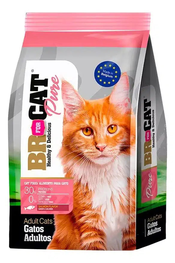 Br For Cat Salmón 3 Kg