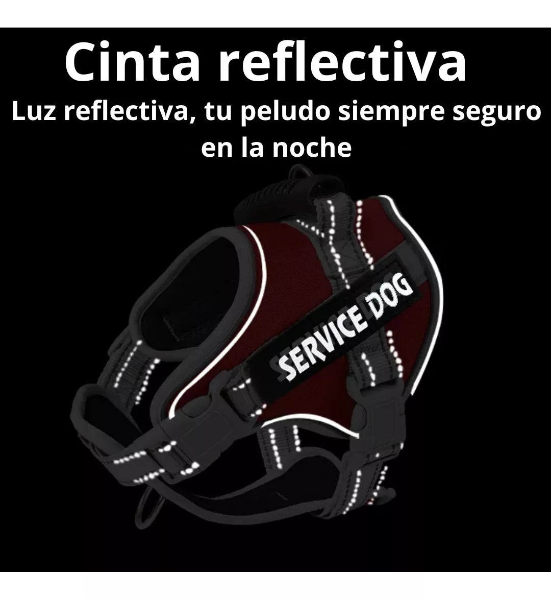 Pechera service dog Talla M