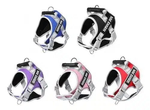 Pechera service dog Talla M