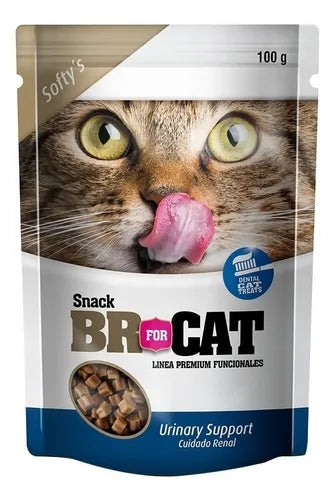 Snack Br For Cat 100GR