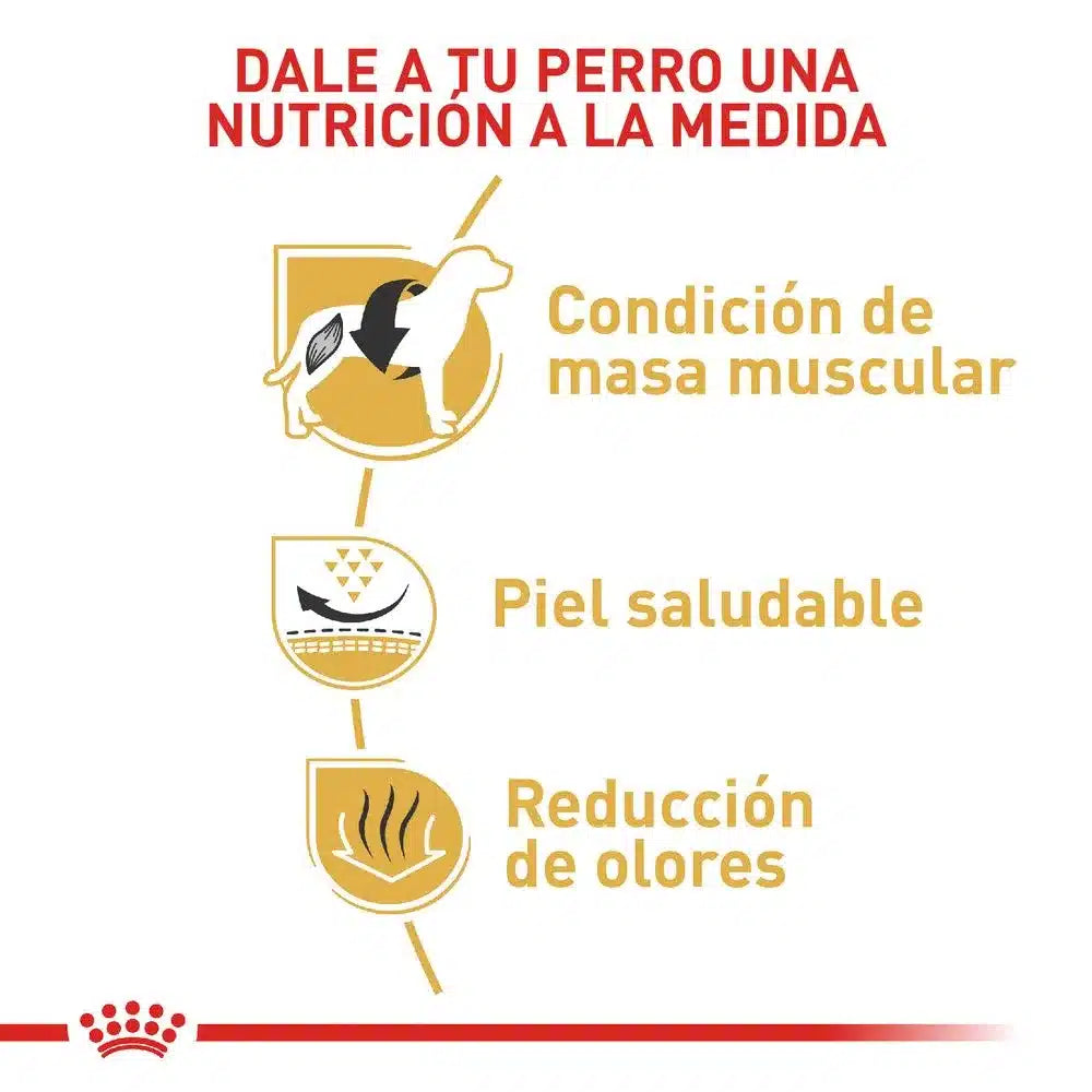 Alimento Para Perro Royal Canin Bhn Bulldog Frances Puppy 10Kg