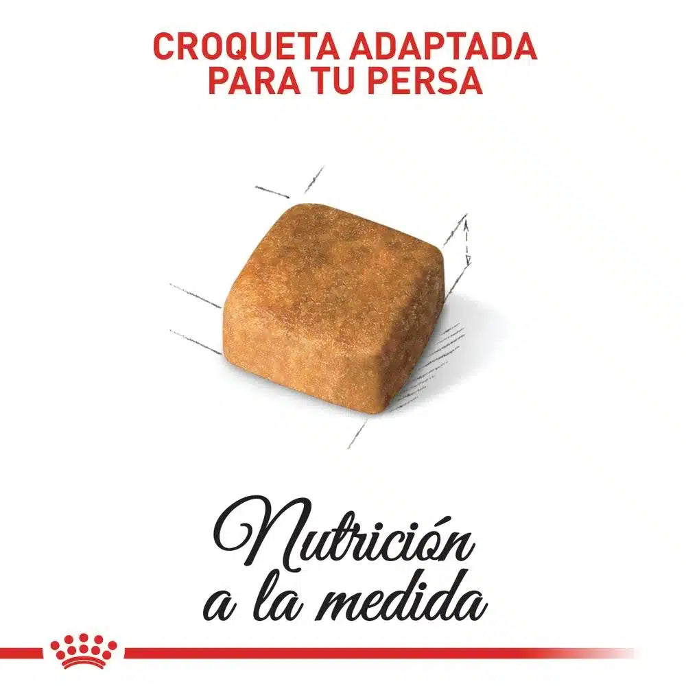 Alimento Para Gato Royal Canin - Fbn Persian Kitten comida para gato persa 2kg envio incluido