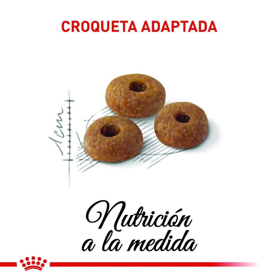 Royal Canin Gatos Regular Fit 32 400g