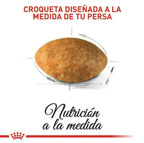 Comida para gato  Feline Breed Nutrition Persian Para Gato persa  Adulto  Bolsa De 2kg  envio incluido